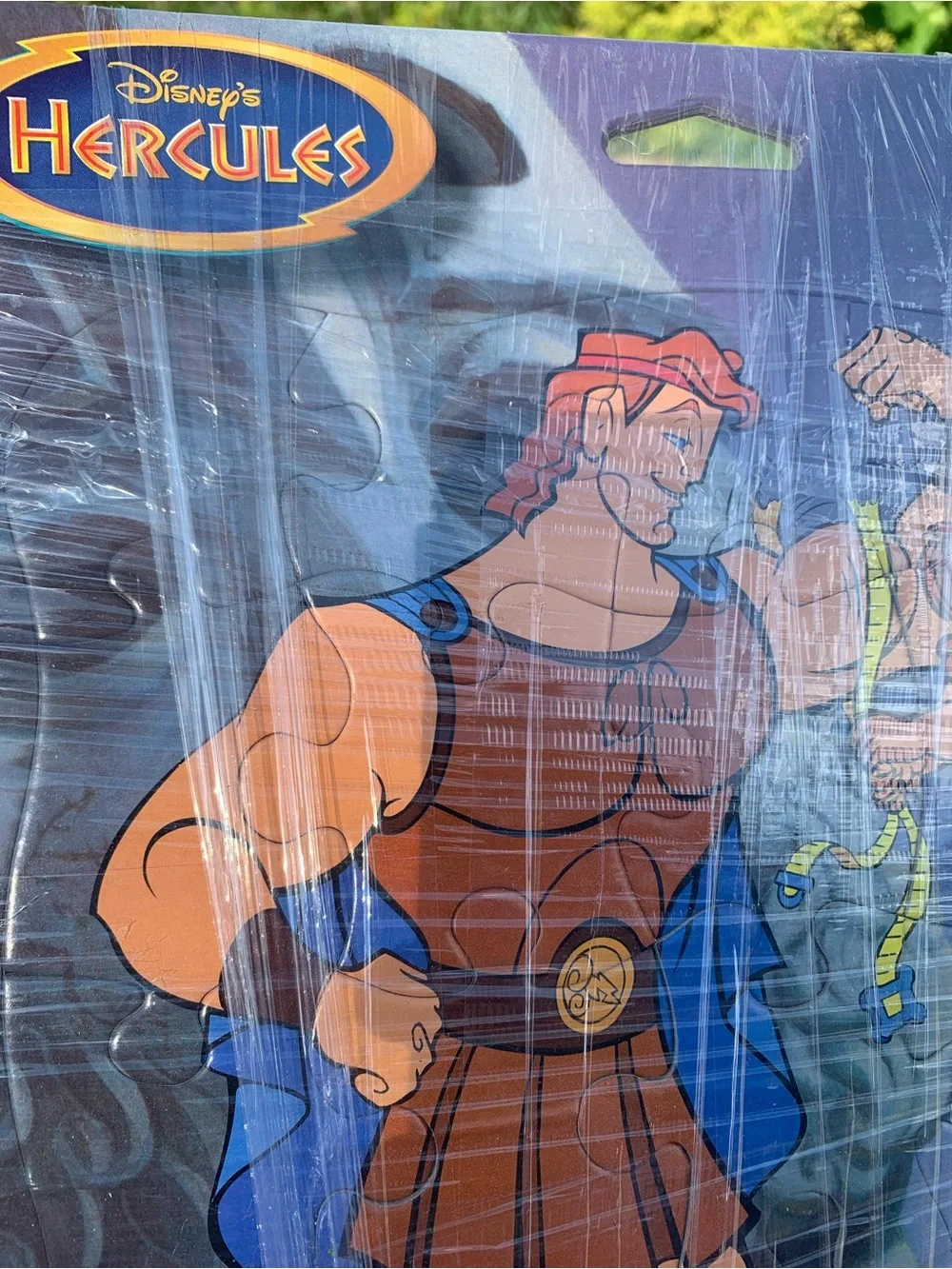 Disney this hercules